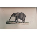 Buffon J.-L.L. - Oeuvres complètes de Buffon, 1823 - 1833, litografie, 20 tomów