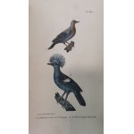 Buffon J.-L.L. - Oeuvres complètes de Buffon, 1823 - 1833, litografie, 20 tomów