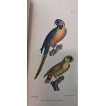 Buffon J.-L.L. - Oeuvres complètes de Buffon, 1823 - 1833, litografie, 20 tomów
