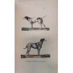Buffon J.-L.L. - Oeuvres complètes de Buffon, 1823 - 1833, litografie, 20 tomów