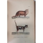 Buffon J.-L.L. - Oeuvres complètes de Buffon, 1823 - 1833, litografie, 20 tomów