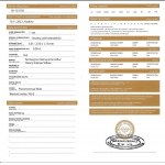 Natural diamond 0.09 ct Vs2 valuation $.861