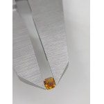 Diament 0.25 ct P1 wyc.1513$