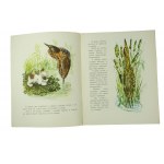 Первая охота / First hunt - Вималий Бианки, drawings: Е.Чарушина, 1958.