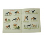 Merry pictures / Merry pictures - A. Laptev, , drawings by A.Laptev