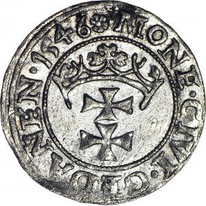 Zygmunt I Stary, Szeląg 1546 Gdańsk, POLON, menniczy
