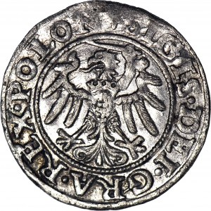 Zygmunt I Stary, Szeląg 1546 Gdańsk, POLON, menniczy