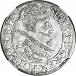 RR-, Zygmunt III Waza, Ort 1612 Gdańsk, kropka za łapą niedźwiedzia, R.PP, menniczy