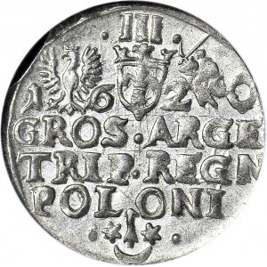 Zygmunt III Waza, Trojak 1620, Kraków, menniczy