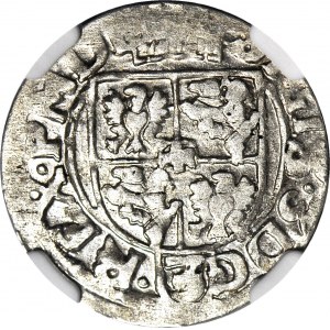 Zygmunt III Waza, Półtorak 1615, Bydgoszcz, Awdaniec, R2