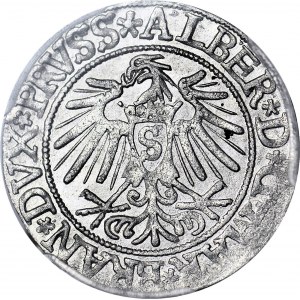 Lenne Prusy Książęce, Albrecht Hohenzollern, Grosz 1537, Królewiec, menniczy