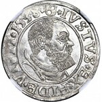 Lenne Prusy Książęce, Albrecht Hohenzollern, Grosz 1538, Królewiec, 7 piór, menniczy