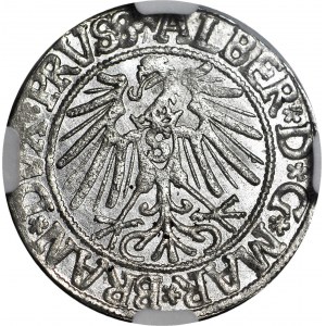 Lenne Prusy Książęce, Albrecht Hohenzollern, Grosz 1543, Królewiec, WYŚMIENITY