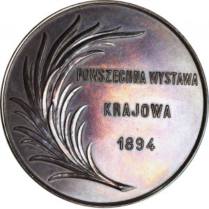 Medal Powszechna wystawa krajowa we Lwowie 1894 r., brąz 63 mm