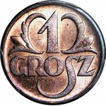 1 grosz 1939, menniczy, kolor RB