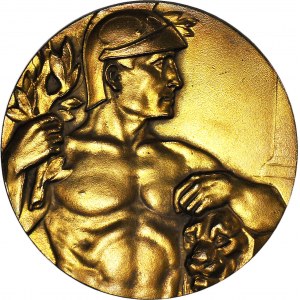 Medal 1924 Gdańsk - Sopot , Policja