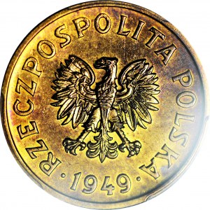 RR-, 50 groszy 1949, PRÓBA, MOSIĄDZ, nakład 100szt., rzadkość, c.a.
