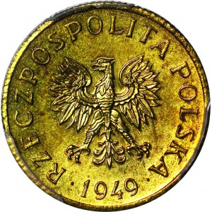 RR-, 1 grosz 1949, PRÓBA, MOSIĄDZ, nakład 100szt., rzadkość, c.a.