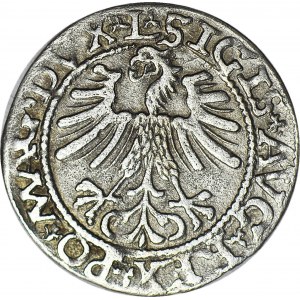 RRR-, Zygmunt II August, Półgorsz 1563, BEZ OSTROGI, nienotowany