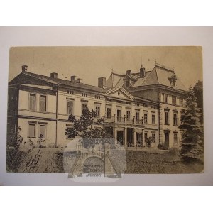 Czerwionka Leszczyny, pałac, ok. 1920
