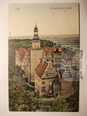 Olesnica, Oels, castle, 1913