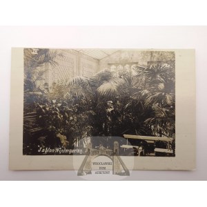 Jabłoń k. Parczew, szklarnia, ok. 1915