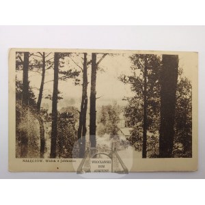 Nałęczów,widok z Jabłuszka, ok. 1930