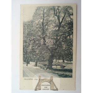 Nałęczów, mostek w parku, ok. 1930