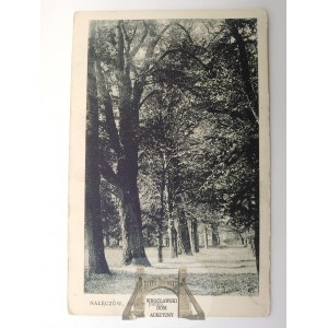 Nałęczów, aleja w parku, ok. 1930