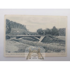 Zamsy w Berehach Dolnych k. Ustrzyki Dolne, most 1937