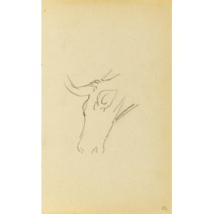 Jacek MALCZEWSKI (1854-1929), Outline of a cow's head with horns