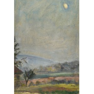 Irena WEISS - ANERI (1888-1981), Krajina