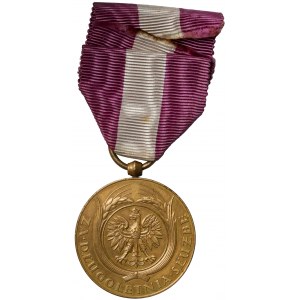 Medal za Długoletnią Służbę - Brązowy (X)