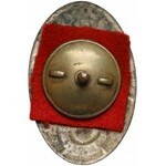 Odznaka, 205 Ochotniczy Pułk Artylerii Polowej, JULIA