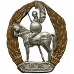 Odznaki generała Antoniego Grudzińskigo