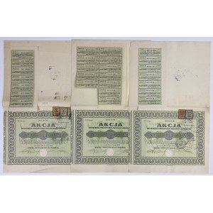 Lwowskie Tow. Akc. Browarów, Em.9-10, 100 zł 1925-28 (3szt)
