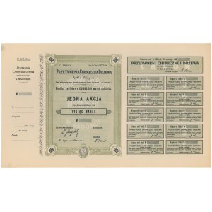 Przetwórnia Chemiczna Drzewa, Em.2, 1.000 mkp 1923 - blankiet