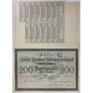 Zakłady Górnicze Silesia / Silesia Bergbau, 200 kr 1919