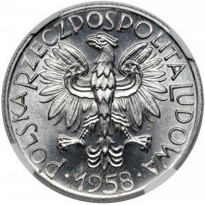 5 złotych 1958 - BAŁWANEK - skrętka