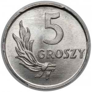 5 groszy 1949 Al