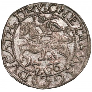 Zygmunt II August, Półgrosz Tykocin 1566 - Jastrzębiec