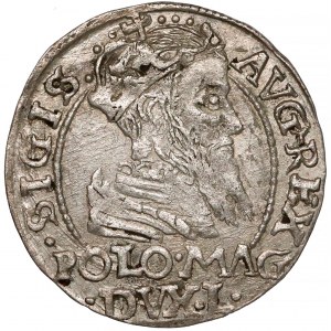 Zygmunt II August, Grosz na stopę polską 1566, Tykocin - Kolumny
