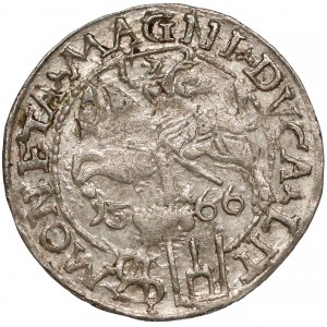 Zygmunt II August, Grosz na stopę polską 1566, Tykocin - Kolumny