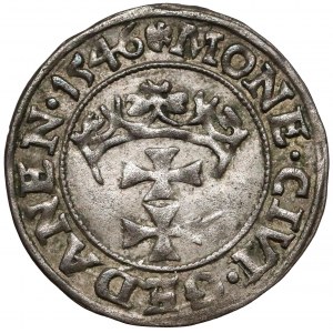 Zygmunt I Stary, Szeląg Gdańsk 1546 - POLON
