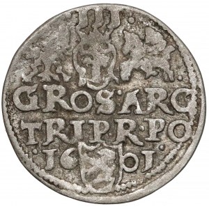 Zygmunt III Waza, Anomalny Trojak 1601