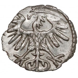 Zygmunt II August, Denar Wilno 1554