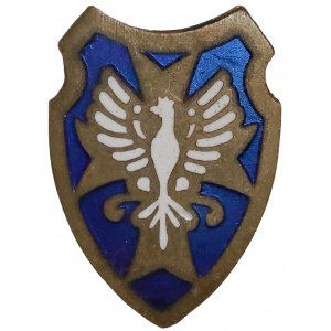 Odznaka Samarytanina Polskiego(?) z Orłem na niebieskiej tarczy