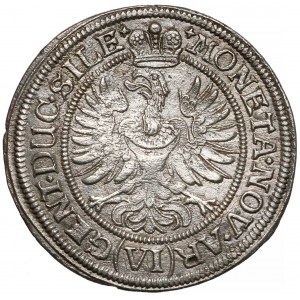 Śląsk, Ludwika, 6 krajcarów Brzeg 1673