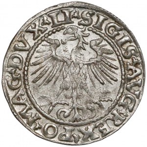 Zygmunt II August, Półgrosz Wilno 1552 - tarcza prosta