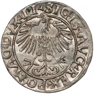 Zygmunt II August, Półgrosz Wilno 1556 - LITV